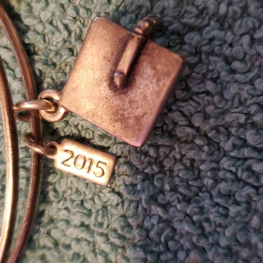 Alex & Ani Bangle Bracelet - Picture 2 of 4